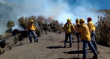 Extinguen en su totalidad incendio en el Parque Nacional Iztaccíhuatl-Popocatépetl