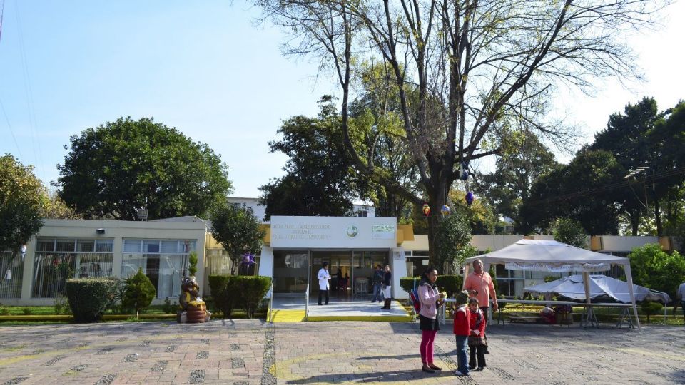 El Gobierno determina la desaparición de los hospitales psiquiátricos en México.