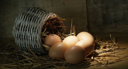 Día Mundial del Huevo, conoce las curiosidades de este alimento