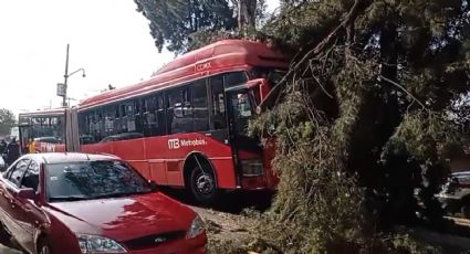 Unidad del Metrobús choca en San Juan de Aragón y deja 10 lesionados