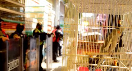 Incendio en Mercado de Sonora fue causado por corto circuito