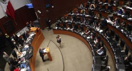 Senado clausura periodo ordinario de sesiones dejando en el tintero temas fundamentales