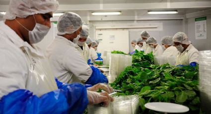 Inegi: Crece sector de preparación de alimentos pese a pandemia