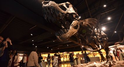¿Qué provocó realmente la extinción de los dinosaurios?