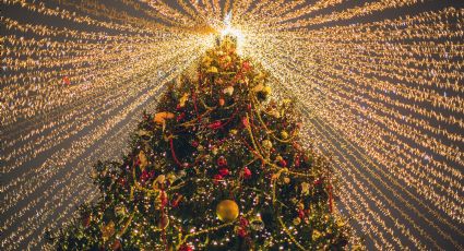 Conoce el récord mundial de árboles de Navidad