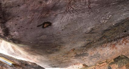 Encuentran la pintura rupestre más antigua de Australia