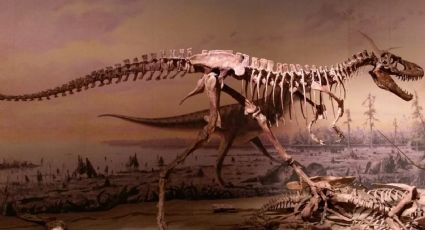 Crías de Tiranosaurio rex son responsables de reducción de especies
