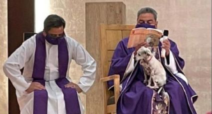 Perrita acompañando a sacerdote en misa causa sensación en redes