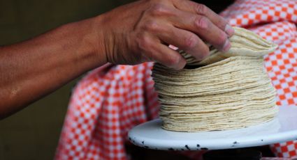 Tortilla sube hasta 20 pesos el kilo en el país