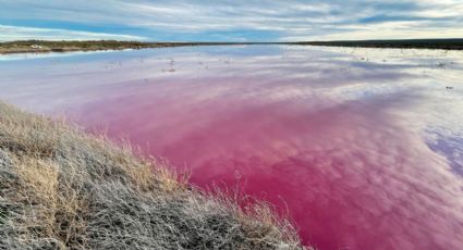 Contaminación tiñe sistema de lagunas color rosa en Argentina