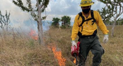 Conafor: Aumenta 12% el número de incendios forestales en México