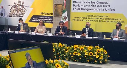 PRD presenta su agenda legislativa en la Cámara de Diputados y Senadores