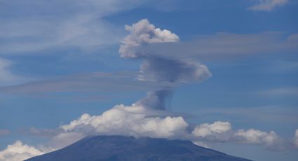 ¡’Don Goyo’ despierto! Popocatépetl hoy registra explosión con columna de gas y ceniza