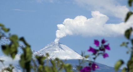 ¿Sabías que existen más de 10 volcanes activos en México?