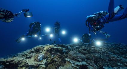 Descubren uno de los arrecifes de coral más grandes del mundo en Tahití