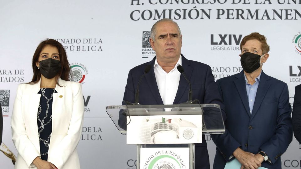 Julen Rementería del Puerto, Senador Panista