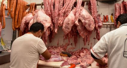 Promueven exportación de carne de cerdo a Japón