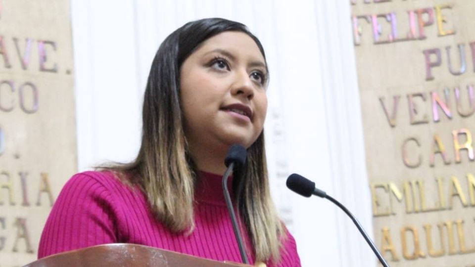 Maxta González Carrillo, diputada local por el PRI.