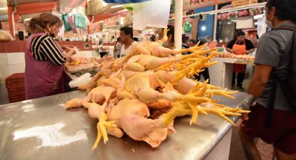 Brote de gripe aviar podría acelerar la inflación: Pedro Tello