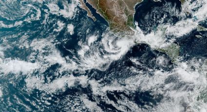 Tormenta tropical Roslyn intensifica sus vientos; podría impactar costas nacionales