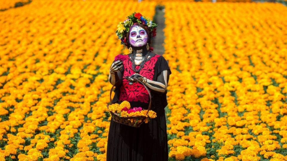 Imagen que hace referencia a la tradición del Día de Muertos en México.