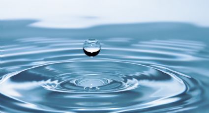Día Mundial del Agua: ¡Cuidemos al líquido vital! Estos son los retos
