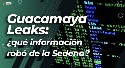 Guacamaya Leaks obtuvo 6TB de información de la Sedena