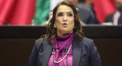 Críticas a receta contra la inflación de la diputada Patricia Armendáriz, llega al Senado