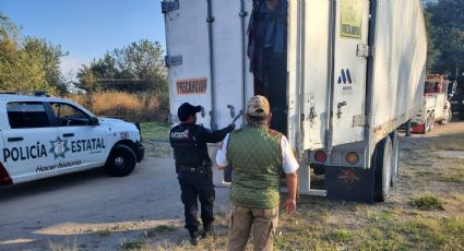 INM detecta 159 inmigrantes indocumentados en Puebla