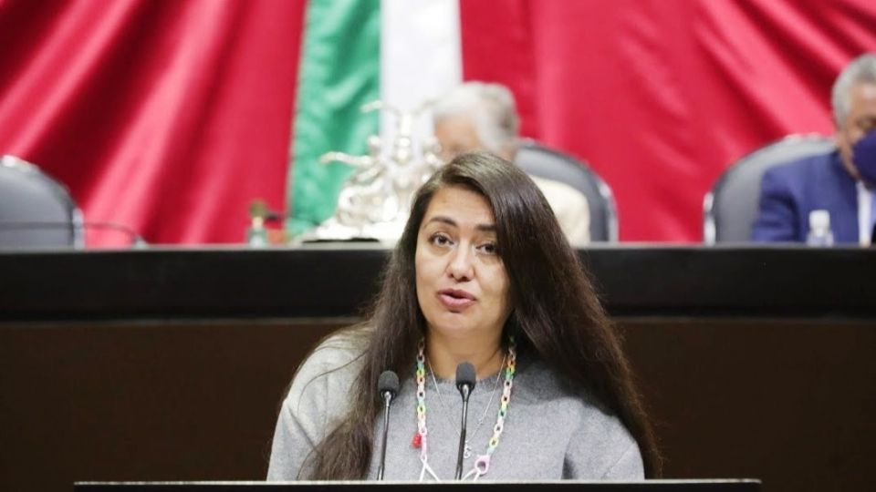 Elizabeth Pérez,  vicecoordinadora de la bancada del PRD