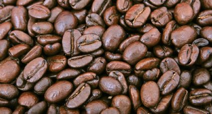 Café: Aporta felicidad, antioxidantes y reduce la mortalidad