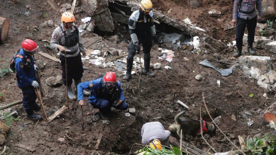 Sismo en Indonesia: Niño que pasó dos días bajo los escombros ya fue rescatado