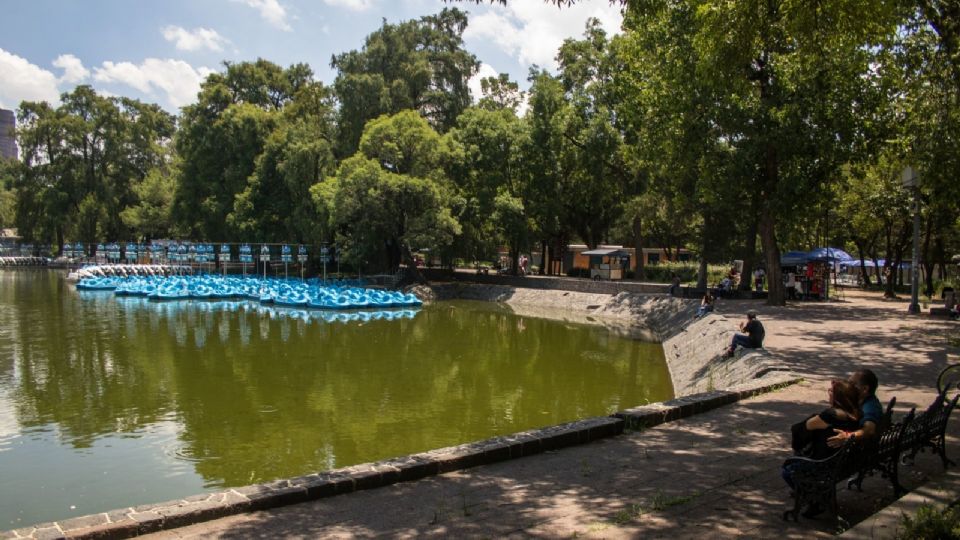 Se busca prevenir acciones que pongan en riesgo el equilibrio bioquímico de los lagos en Chapultepec.