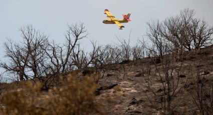 Hay 14 militares involucrados en el sabotaje de ‘narcoavionetas’ en Ecuador