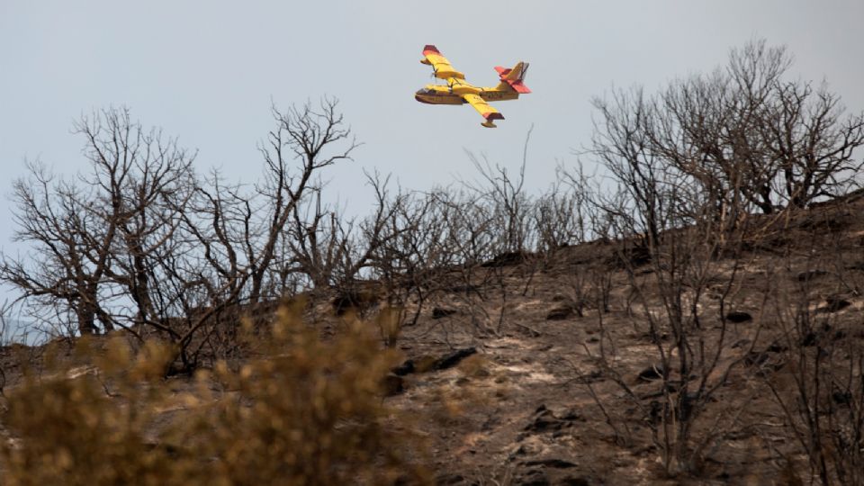 Fiscalía de Ecuador acusa a militares de sabotear radar de 'narcoavionetas'.