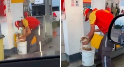 Empleado de gasolinera baña a un lomito para que no le dé un golpe de calor: VIDEO