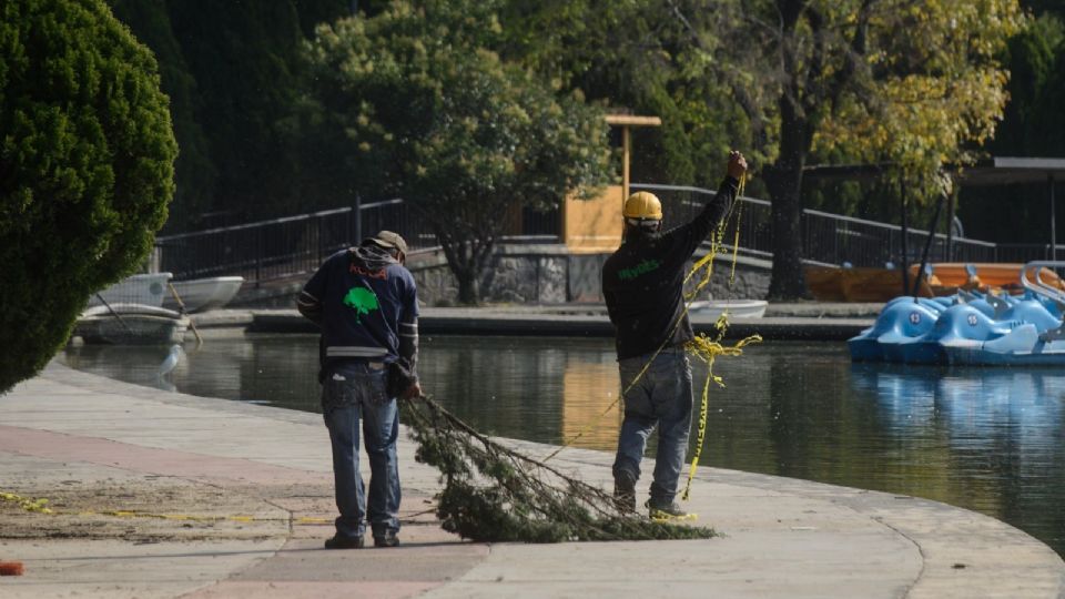 Bosque de Chapultepec.