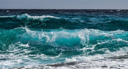 México trabajará para garantizar situación ecológica de océanos: Ebrard