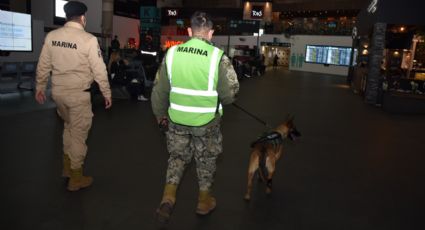 Elementos navales se integran a labores de vigilancia y administración del AICM