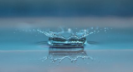 Día Mundial del Agua: curiosidades que no sabías del líquido vital