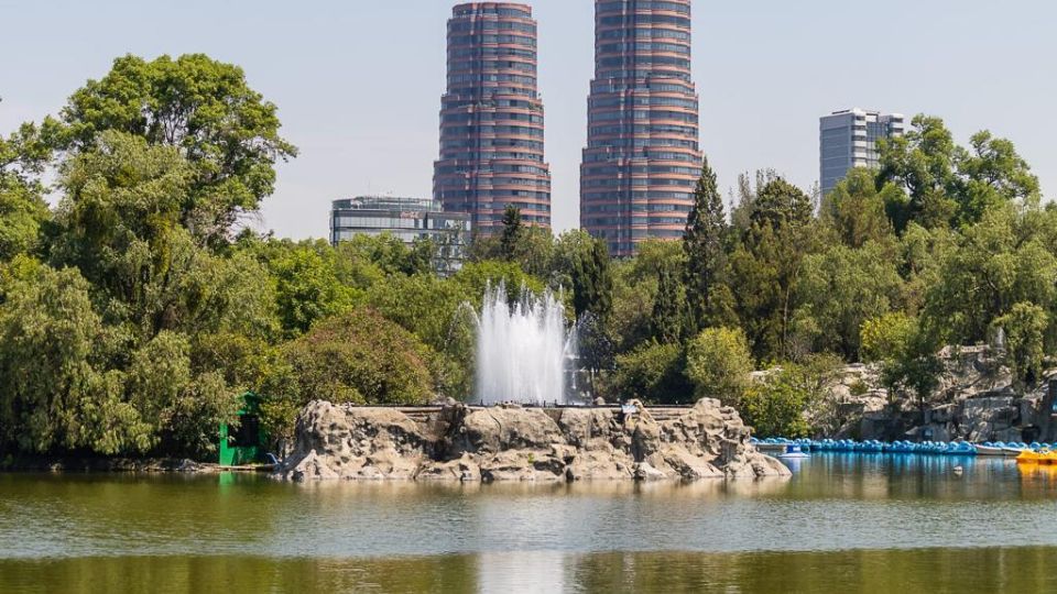 En el lago mayor del Bosque de Chapultepec, fue localizado el cuerpo de un hombre flotando.