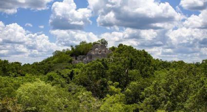 Calakmul doble riqueza