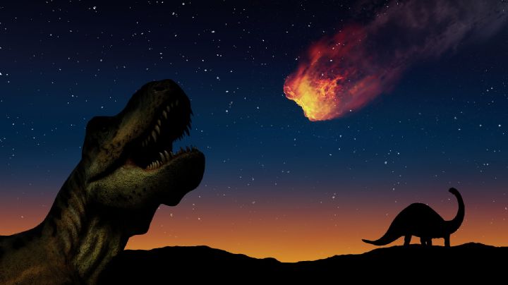 Encuentran fósil de dinosaurio que murió durante el impacto del asteroide que causó su extinción