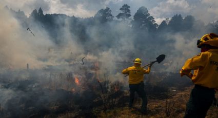 Afectan 55 incendios forestales el territorio nacional