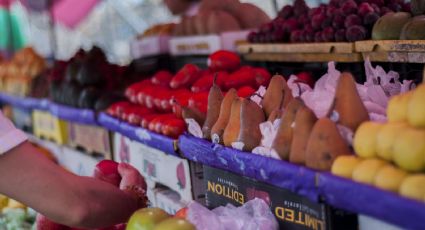 Mexicanos no tienen acceso a una alimentación nutritiva: Pedro Tello