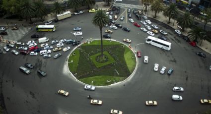 En junio podría ser plantado ahuehuete en Glorieta de la Palma