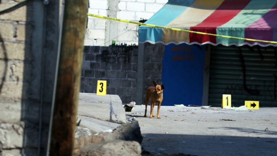 Una mascota atraviesa por el sito donde quedaron evidencias de un homicidio ocurrido en la mañana en este municipio.