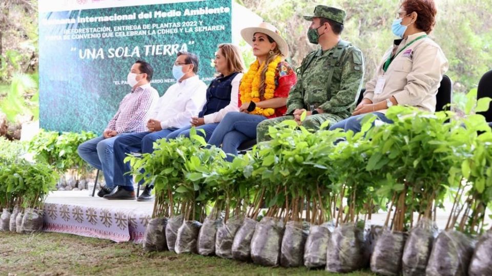 La gobernadora Evelyn Salgado entregó plantas y árboles para la reforestación de 3 municipios de Guerrero