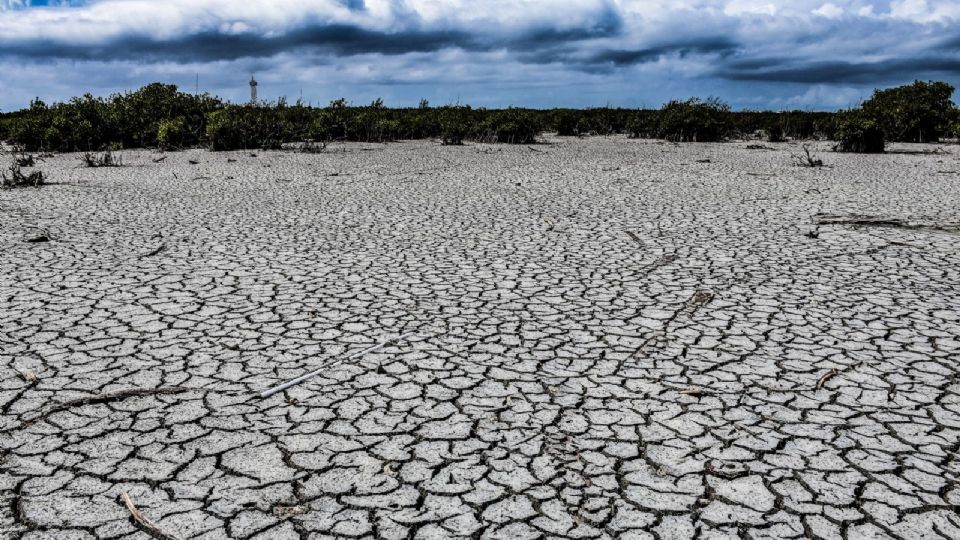 El estado de Quintana Roo está viviendo una de las sequías más importantes en muchos años.