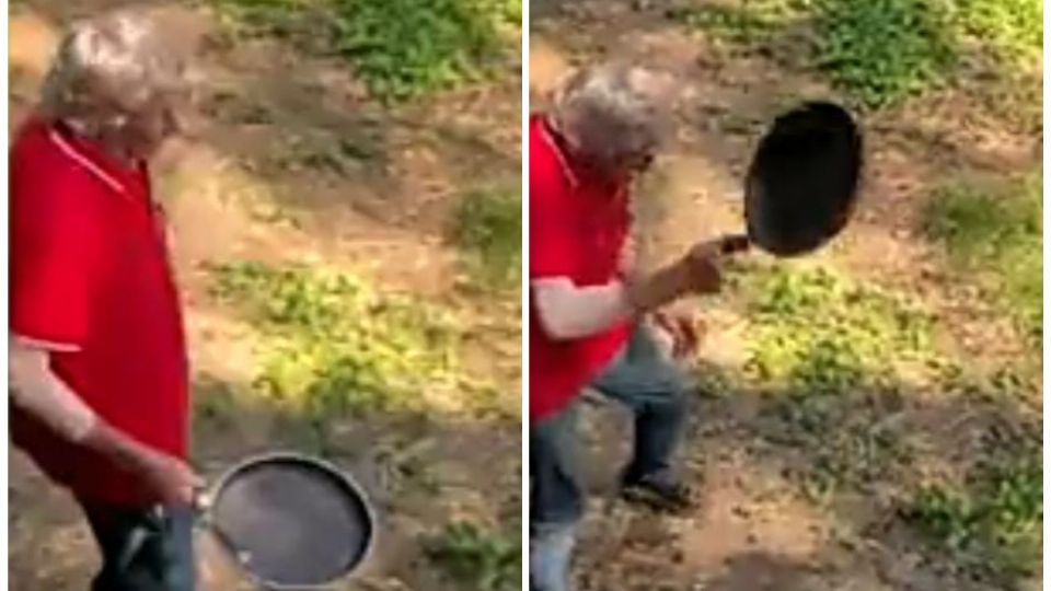 Un hombre se enfrentó con un cocodrilo solo con una sartén